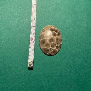 Petoskey stone cabochon for jewelry making beautiful natural